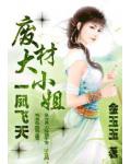 废材大小姐：一凤飞天