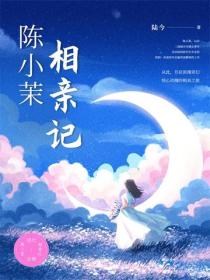 陈小茉相亲记
