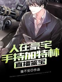 直播鉴宝，人在豪宅，手持加特林