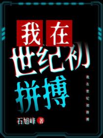 我在世纪初拼搏