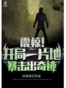 开局一片地暴击出奇迹