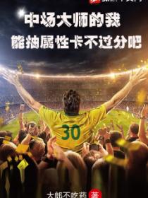 中场大师的我能抽属性卡不过分吧?