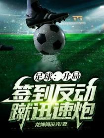 足球:开局签到反动蹴迅速炮