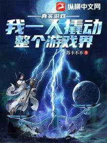 真实游戏:我一人撬动整个游戏界