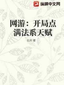 网游:开局点满法系天赋