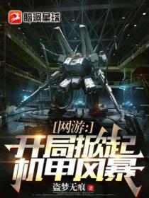 网游:开局掀起机甲风暴