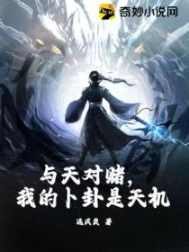 与天对赌,我的卜卦是天机