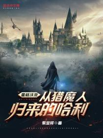 霍格沃茨:从猎魔人归来的哈利