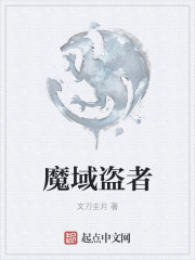 魔域盗者