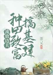 流放边关,种田致富搞基建