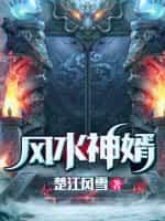 风水神婿