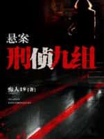 悬案：刑侦九组