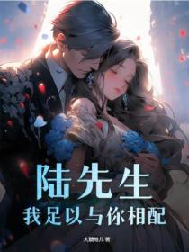 陆先生,我足以与你相配