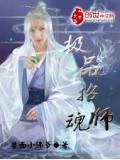 极品招魂师