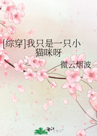 我只是一只小猫咪呀