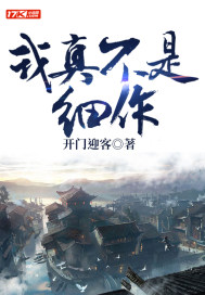 我真不是细作