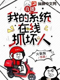 直播：我的系统在线抓坏人