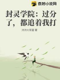 封灵学院:过分了,都追着我打