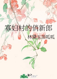 寡妇村的俏新郎