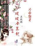 冷帝缠妻:坏坏小王妃