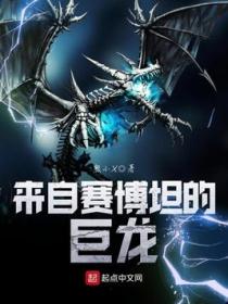 来自赛博坦的巨龙