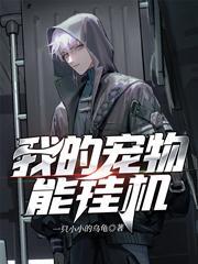 我的宠物能挂机