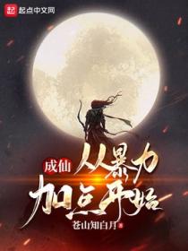 成仙：从暴力加点开始