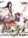 妾本惊鸿：暴君的孽宠