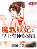 魔教妖妃：皇上有种你别跑