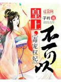 毒宠权妃：皇上，不可以