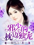 邪少的枕边独宠