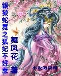 银狼蛇舞之狐妃不好惹