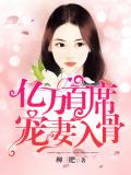 亿万首席宠妻入骨