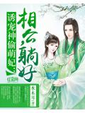 诱宠神偷萌妃：相公，躺好