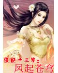 杀手傻妃十三岁：凤起苍穹