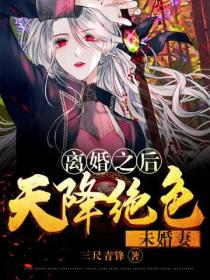 离婚之后:天降绝色未婚妻
