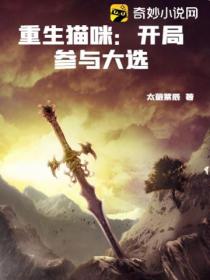 重生猫咪:开局参与大选