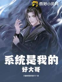 系统是我的好大哥