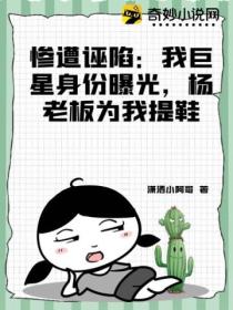 惨遭诬陷:我巨星身份曝光,杨老板为我提鞋