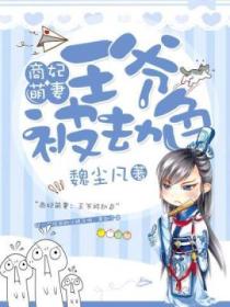 商妃萌妻:王爷被劫色