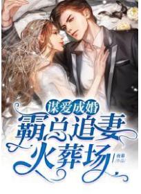 谋爱成婚：霸总追妻火葬场