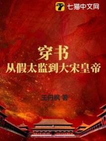 穿书:从假太监到大宋皇帝