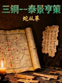 三铜--泰景亨策
